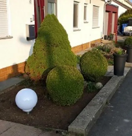 Frau Klara * Hofheim in Unterfranken